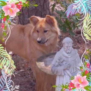 Meet your Posher, Rosemarie